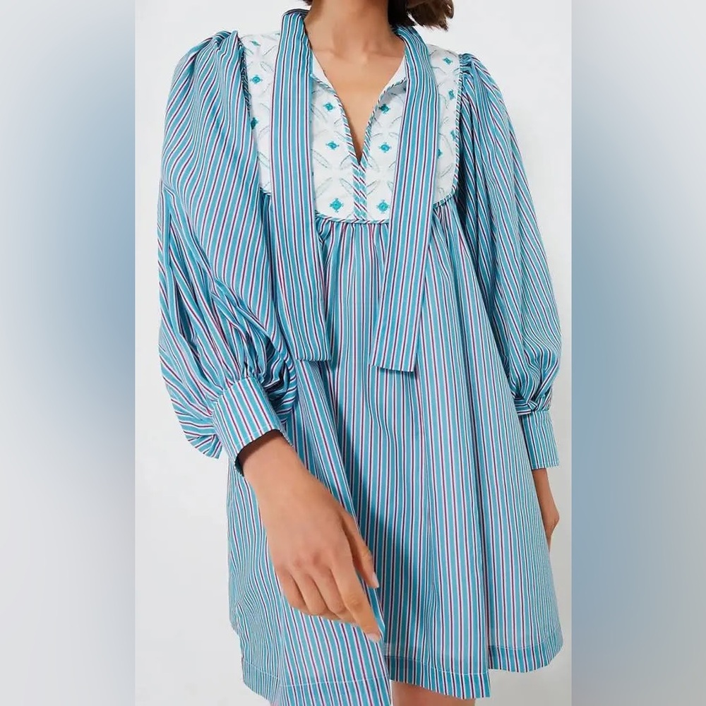 JULIETTE EMBROIDERED MINI DRESS - POMANDER PLACE SIZE LARGE